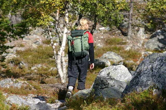 vestre sorken 063